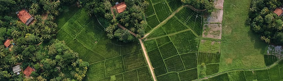 Farming field 