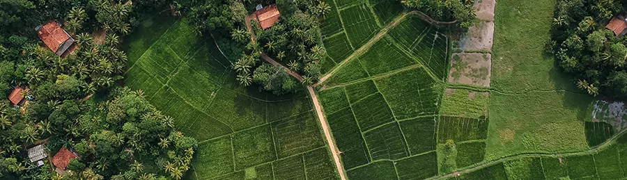 Sri Lanka Sri Lanka